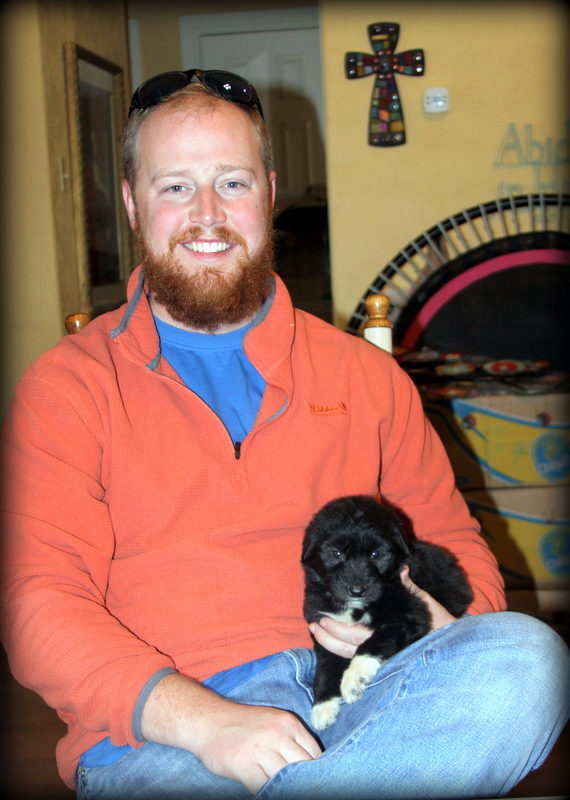 Sunshine Sheepadoodles family and puppy photo