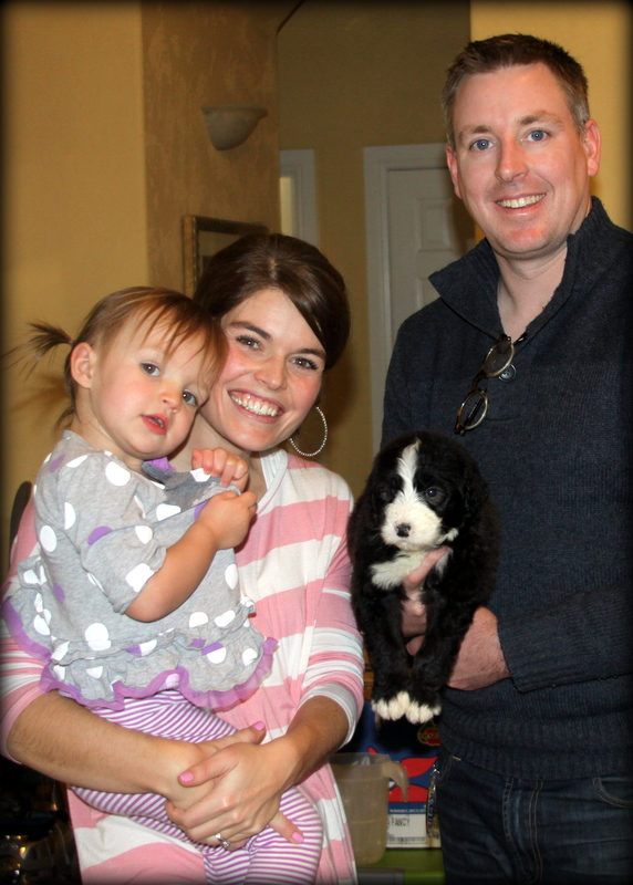 Sunshine Sheepadoodles family and puppy photo