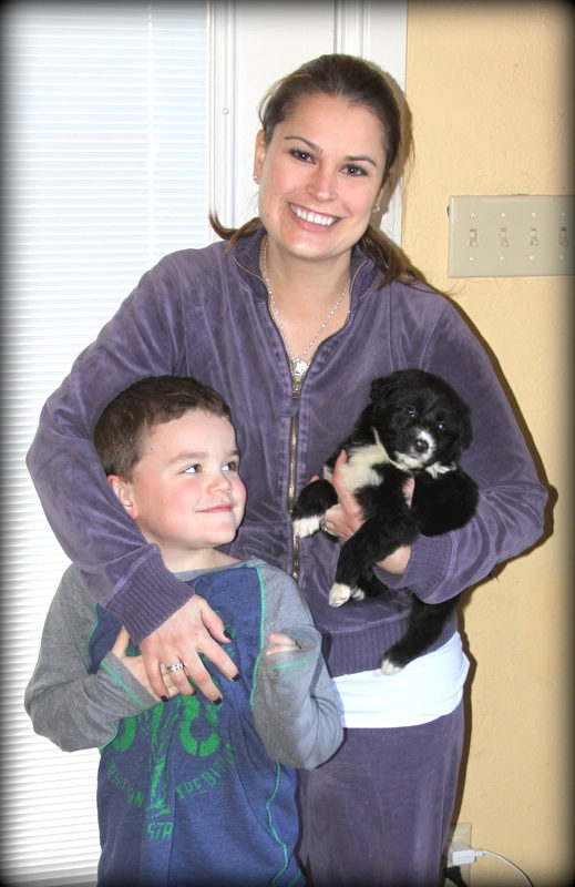 Sunshine Sheepadoodles family and puppy photo