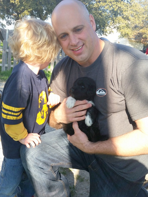 Sunshine Sheepadoodles family and puppy photo