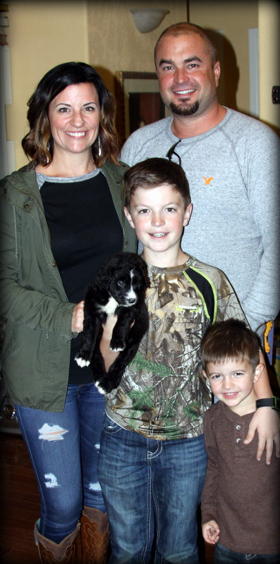 Sunshine Sheepadoodles family and puppy photo
