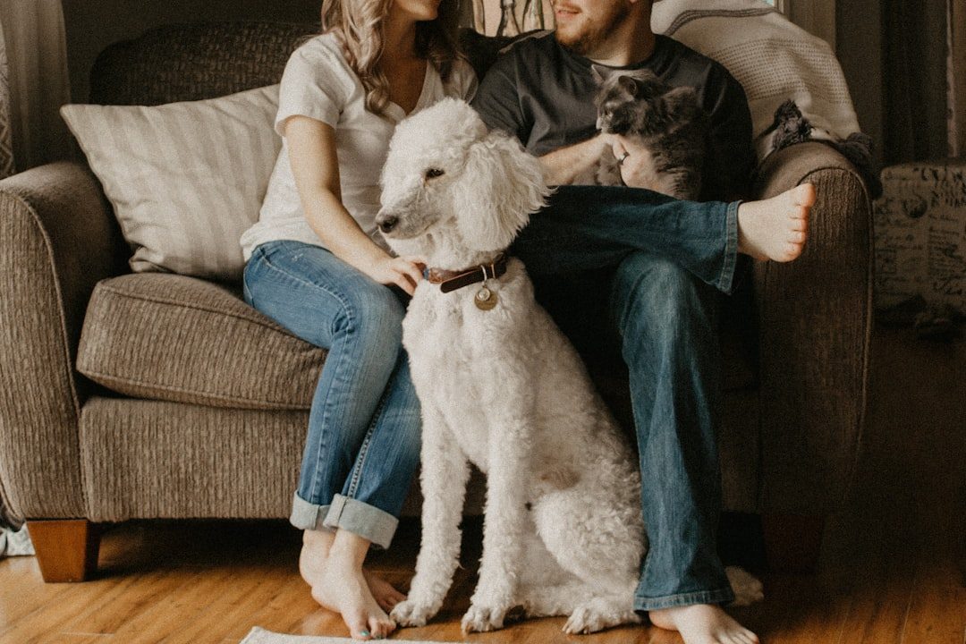 Pet sitter sitting on the floor at home with a large fluffy dog